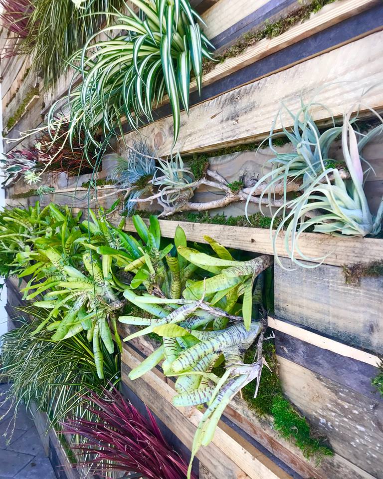 Tropical Living Wall